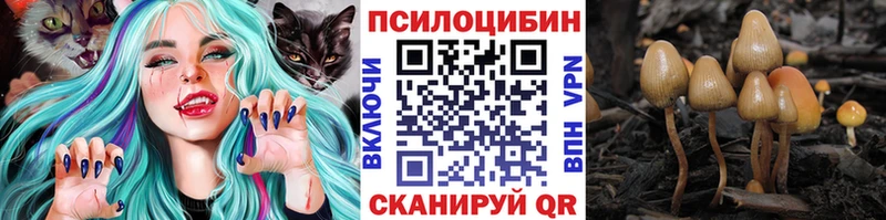 Купить  Щёлкино  Псилоцибиновые грибы Cubensis 
